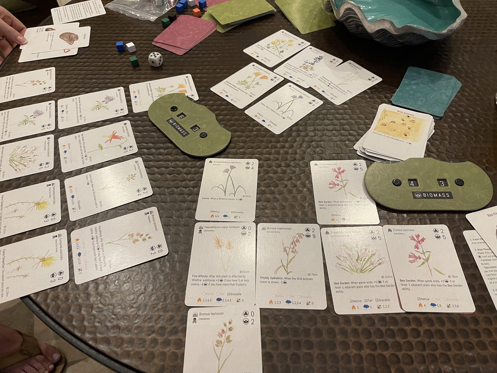 A game of Restoria in progress, with illustrated plant cards